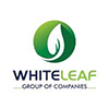 White Leaf Group